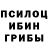 Псилоцибиновые грибы Magic Shrooms toca_bca