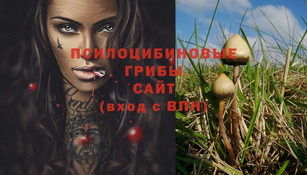 а пвп мука Алзамай