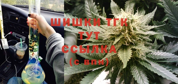сатива Абинск