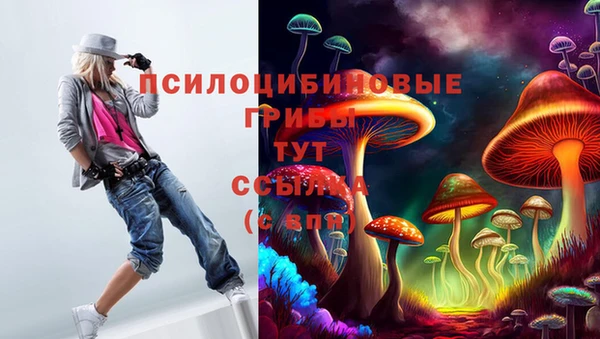 соль ск Алексин