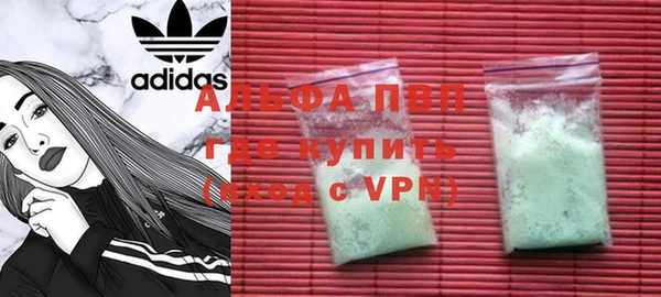 сатива Абинск